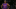 Vince Carter, Toronto Raptors Vince Carter, Toronto Raptors