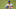Mets Mets