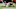 Atlanta Falcons Atlanta Falcons