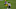 Green Bay Packers Green Bay Packers