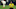 Borussia Dortmund midfielder Jude Bellingham Borussia Dortmund midfielder Jude Bellingham