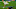 Notre Dame football Notre Dame football