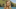 Libby Vincek Survivor Ghost Island cast photo Libby Vincek Survivor Ghost Island cast photo