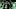 dallas stars dallas stars