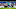 Leicester City Leicester City
