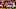 Kansas City Chiefs