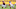 Washington Football Team Washington Football Team