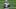 Dallas Cowboys