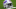 Buffalo Bills Buffalo Bills