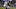 Oakland Raiders Oakland Raiders