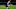 Tottenham, Matt Doherty knocked flat Tottenham, Matt Doherty knocked flat