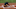 Cleveland Indians Cleveland Indians