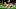 Notre Dame Fighting Irish cornerback Julian Love (27) (Photo by Zach Bolinger/Icon Sportswire via Getty Images) Notre Dame Fighting Irish cornerback Julian Love (27) (Photo by Zach Bolinger/Icon Sportswire via Getty Images)