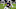 Chicago Bears, David Montgomery Chicago Bears, David Montgomery