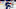 tampa bay lightning tampa bay lightning