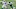 Philadelphia Eagles Brian Poole Philadelphia Eagles Brian Poole