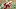 Nebraska Football Nebraska Cornhuskers Nebraska Football Nebraska Cornhuskers