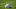 July 26, 2012; San Diego, CA, USA; A detailed view of a San Diego Chargers helmet on the grass during training camp at Charger Park. Mandatory Credit: Jake Roth-USA TODAY Sports July 26, 2012; San Diego, CA, USA; A detailed view of a San Diego Chargers helmet on the grass during training camp at Charger Park. Mandatory Credit: Jake Roth-USA TODAY Sports