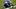 Seattle Seahawks