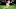 Tyreek Hill, Chiefs