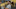 Josh Rosen, Miami Dolphins, SF 49ers Josh Rosen, Miami Dolphins, SF 49ers