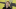 Cameron Monaghan, Lex Luthor Cameron Monaghan, Lex Luthor