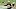 Big Ten QB