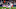 Liga MX Liguila first leg Liga MX Liguila first leg