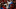 HOUSTON, TX – OCTOBER 30: A Washington Nationals fan wearing a shark costume is seen in the crowd after the Nationals defeated the Houston Astros in Game 7 to win the 2019 World Series at Minute Maid Park on Wednesday, October 30, 2019 in Houston, Texas. (Photo by Cooper Neill/MLB Photos via Getty Images)