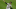 Deivi Garcia, New York Yankees Deivi Garcia, New York Yankees