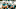 Miami Dolphins Miami Dolphins