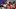 New Orleans Pelicans, Jaden McDaniels New Orleans Pelicans, Jaden McDaniels