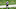 Fantasy Football Wide Receivers: DJ Moore of the Carolina Panthers (Photo by Naomi Baker/Getty Images) Fantasy Football Wide Receivers: DJ Moore of the Carolina Panthers (Photo by Naomi Baker/Getty Images)