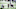 New England Patriots