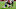Jamie Collins Patriots