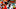 TAMPA, FL – AUGUST 26: Defensive back Robert McClain TAMPA, FL – AUGUST 26: Defensive back Robert McClain