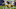 Notre Dame football Notre Dame football
