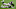 Tampa Bay Buccaneers Tampa Bay Buccaneers