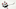 Detroit Red Wings Detroit Red Wings