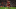 Milner Milner