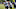 Rob Gronkowski Patriots Rob Gronkowski Patriots