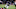 BALTIMORE, MD – DECEMBER 31: Running back Alex Collins #34 of the Baltimore Ravens dives for a touchdown in the third quarter against the Cincinnati Bengals at M&T Bank Stadium on December 31, 2017 in Baltimore, Maryland. (Photo by Rob Carr/Getty Images) BALTIMORE, MD – DECEMBER 31: Running back Alex Collins #34 of the Baltimore Ravens dives for a touchdown in the third quarter against the Cincinnati Bengals at M&T Bank Stadium on December 31, 2017 in Baltimore, Maryland. (Photo by Rob Carr/Getty Images)