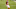 Fantasy Football Fantasy Football