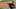 DraftKings DraftKings
