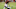 Matthew Dayes Matthew Dayes
