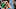 Charlotte Hornets Charlotte Hornets