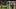 Seattle Sounders FC