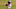 NFL 2021