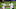 MLB MLB