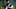 Chicago Bears, Allen Robinson Chicago Bears, Allen Robinson
